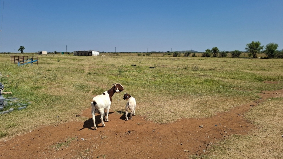 Commercial Property for Sale in Klerksdorp Rural North West